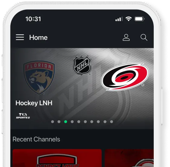 Entertainement Hockey