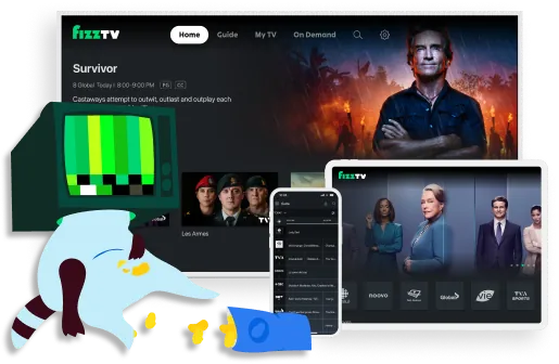 TV Racoon
