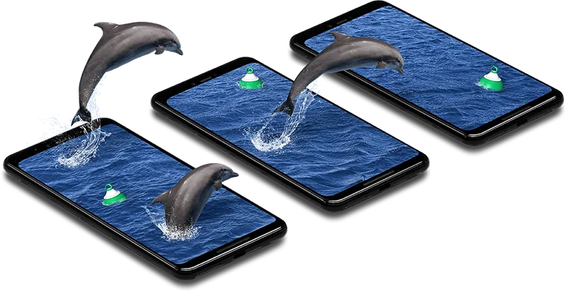 Trois smartphones disposés en diagonale sur fond blanc, affichant chacun un effet 3D d'un dauphin sautant hors de l'écran depuis un océan bleu avec une bouée verte.