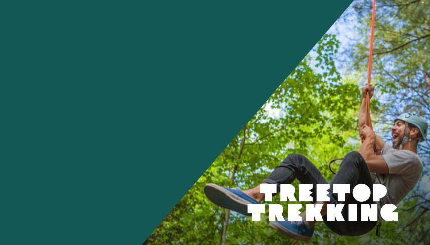 treetoptrekking